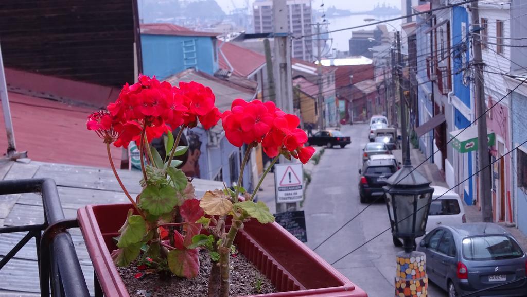 Hostal Destino Bellavista Valparaíso Exteriér fotografie